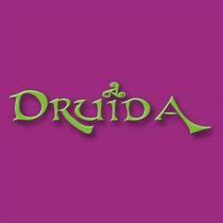 Druidaregals Reus