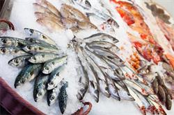 Pescaderia Reyes Del Mar, Ourense