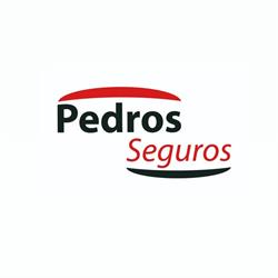 Pedro Seguros, Paterna