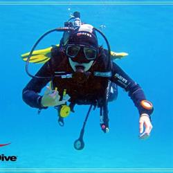 TenDive, Arona