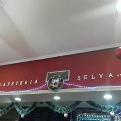 Selva Restauracion Cafeteria Sl., Madrid