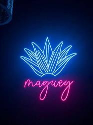 Maguey, Girona