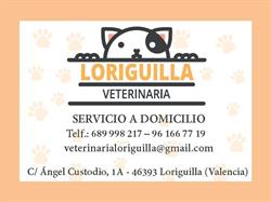 VETERINARIA LORIGUILLA, Loriguilla