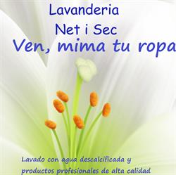 Lavanderia autoservicio Net i Sec Albal