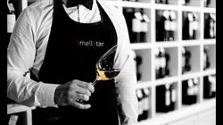 SmellStar, Torrelavega