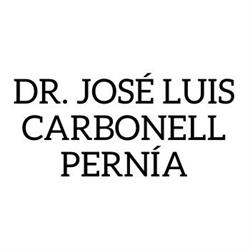 Dr. José Luis Carbonell Pernía, Burgos