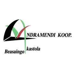 Andramendi Beasaingo Ikastola