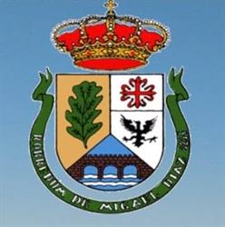 Excelentisimo Ayuntamiento De El Robledo
