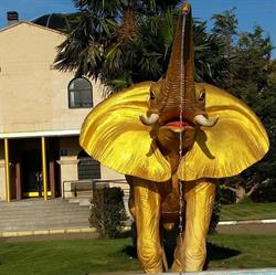 Elefante De Oro, Coreses