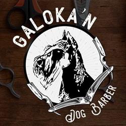 Galoka'n Dog Barber, Llodio