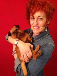 Peluquería Canina y Escuela de peluqueria Canina PLUCKING en Santander