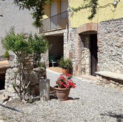Hort de la Cinteta, Alcover