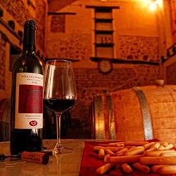 Bodega Viña Valdemazon, Olivares de Duero