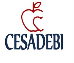 CESADEBI, Móstoles