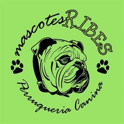 Mascotes Ribes, Sant Pere de Ribes