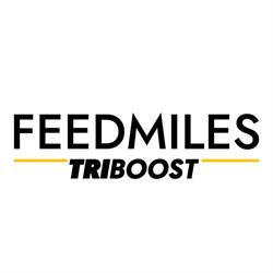 Feedmiles, Madrid