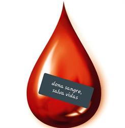 Servicio de Salud de Castilla la Mancha ( hermandad de donantes de sangre ), Cuenca