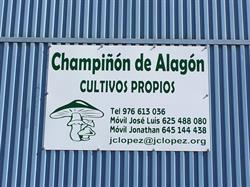 Champiñón, Alagón