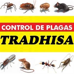 Tradhisa Control de Plagas, Badajoz