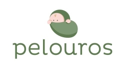 Pelouros Pontevedra