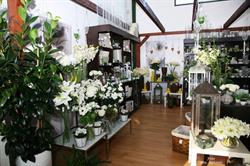 Centro De Jardinería El Montecito, Lobón