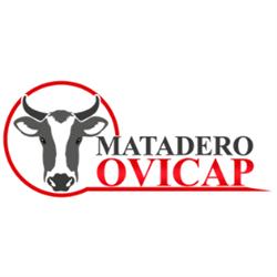 Matadero Ovicap, Castuera