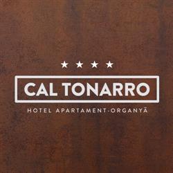 Cal Tonarro, Organya