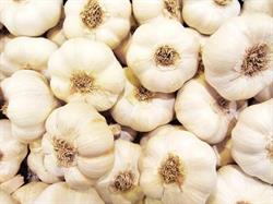 Ajos Cuelgamures
