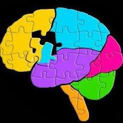 Unidad de Memoria Entrenamiento Cerebral. Preserve S I S L, Alcorcón