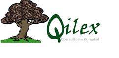 Qilex, Sociedad Cooperativa, Teruel