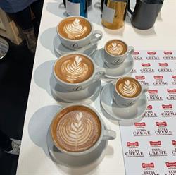 Cafetería Robusta Laura, Logroño