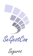 SeGestCon Asesoría, Ravelo