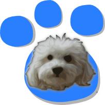 El rincón de Rufo-Peluquería Canina y Tienda de Animales, Torremolinos