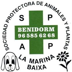 Protectora de animales de Benidorm