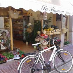 Sa Figuera Ecològica Mercadal, Es Mercadal