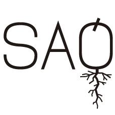 Restaurante Saó BCN, Barcelona