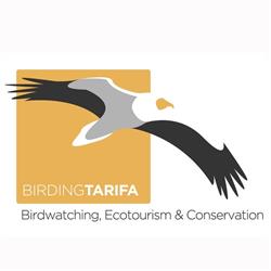 Birding Tarifa, Facinas