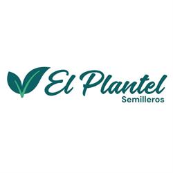 El Plantel Semilleros, delegación en Dalías, Berja y Las Alpujarras