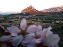 Can Parrado, Horta de Sant Joan