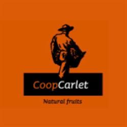 Ribercamp CoopCarlet - Cooperativa Agrícola Sant Bernat Coop. V.