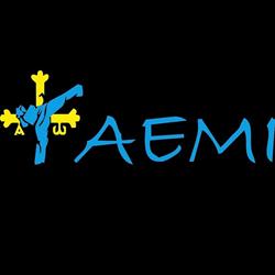Academia De Artes Marciales Taemi, Mieres