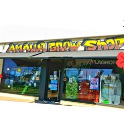 AMALUR GROW SHOP S.L, Vitoria-Gasteiz