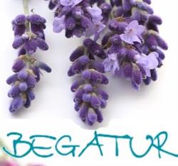 Begatur Servicios Turísticos S.L, Carracedo de Monasterio