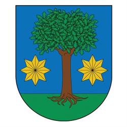 Ayuntamiento De Ultzama, Larraintzar