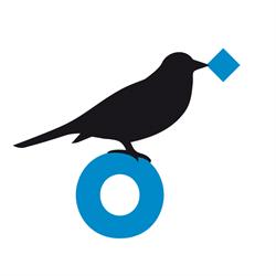 Yofindo.com, Xirivella