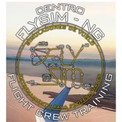 Flysim-Ng Simuladores De Vuelo, Manises