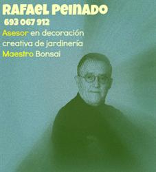 RAFAEL PEINADO, Padul