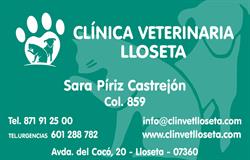 Clinica Veterinaria Lloseta
