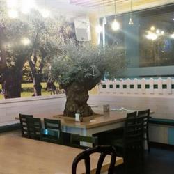 El Jardin, Zaragoza