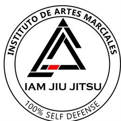 IAM, INSTITUTO DE ARTES MARCIALES, Madrid